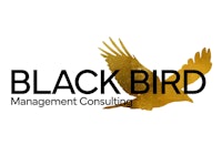 black bird management consulting logo